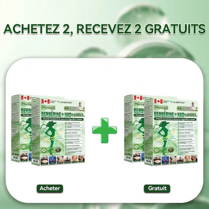 Patch Microneedle Avancé Amelovi® Moringa- Berberine- NAD+ 10 en 1 Nano 🇨🇦