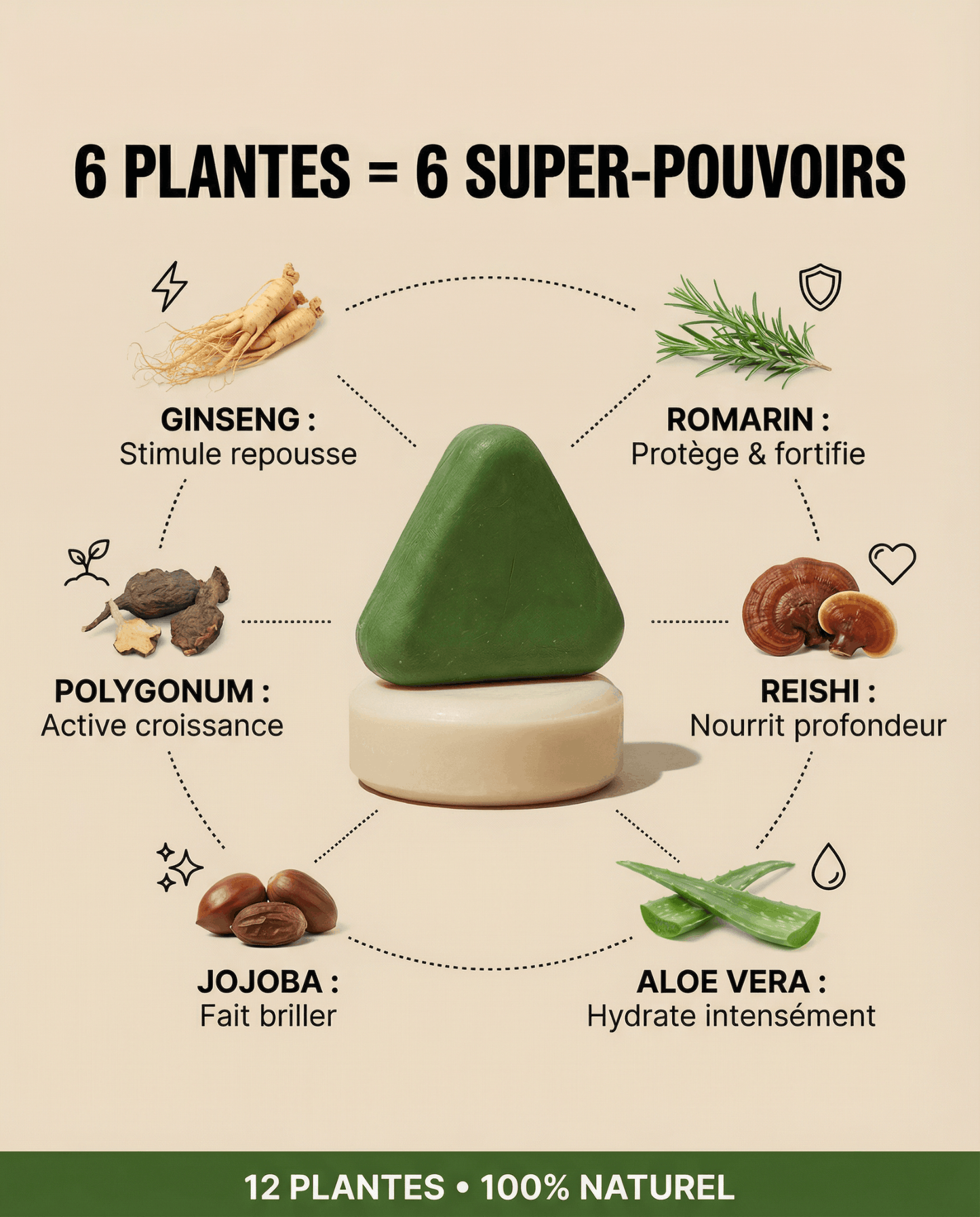 Amelovi – Shampoing Coréen Enrichi Pour la Croissance de Cheveux