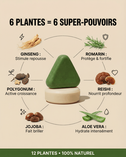 Amelovi – Shampoing Coréen Enrichi Pour la Croissance de Cheveux